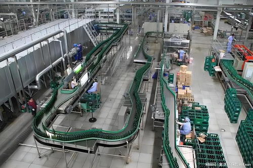 啤酒廠粉塵治理 真空負壓除塵設(shè)備
